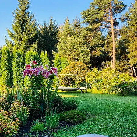 Hyggeliges Ferienhaus Am Waldrand „das Filznhaus“