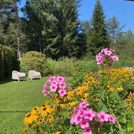 Hyggeliges Ferienhaus Am Waldrand „das Filznhaus“ Holiday home